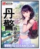 丹警封面