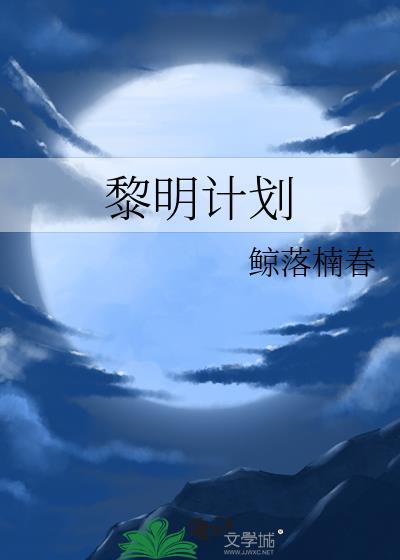 黎明计划封面