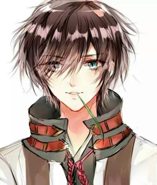 唐薇傅应寒封面