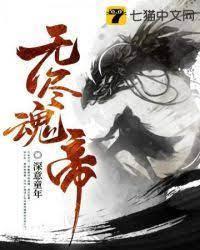 无尽魂帝封面