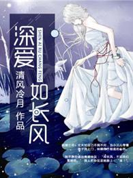 深爱如长风封面