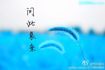 问此袁来封面