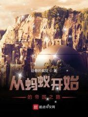 从蚂蚁开始的帝国之路封面