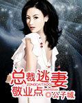 总裁逃妻敬业点封面