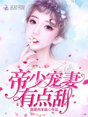 帝少宠妻有点甜封面