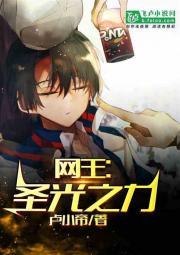 网球霸主:圣光之力封面
