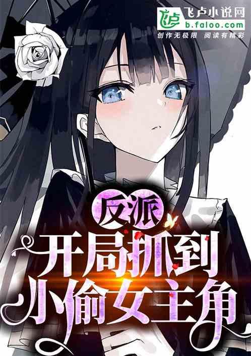 反派：开局抓到小偷女主角封面