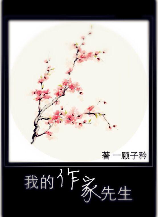 我的作家先生封面