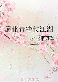愿化青锋仗江湖封面