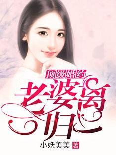 老婆离一归二封面