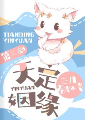 天定姻缘II封面