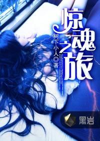 惊魂之旅封面