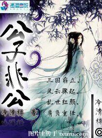 公子非公封面
