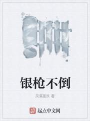 银枪不倒封面