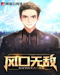 风口无敌封面