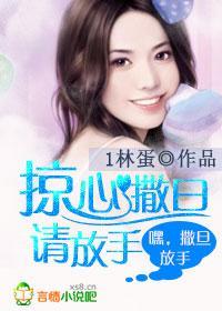 掠心撒旦请放手封面