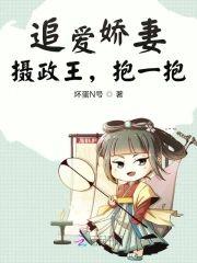追爱娇妻：摄政王，抱一抱封面