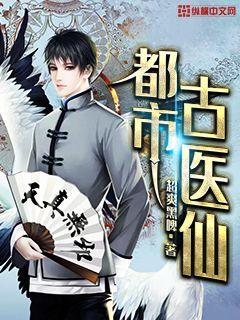 叶不凡封面