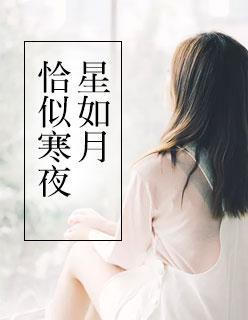 恰似寒夜星如月封面