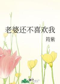 老婆还不喜欢我封面