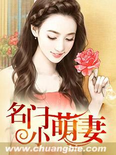 名门小萌妻封面
