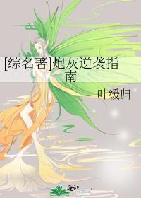 [综名着]炮灰逆袭指南封面