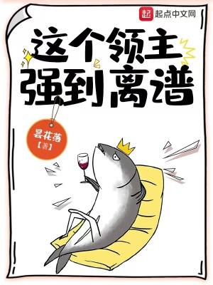 这个领主强到离谱整本免费封面