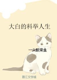 大白的科举人生封面