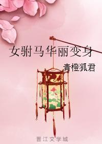 女驸马华丽变身封面