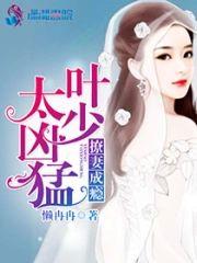 撩妻成瘾:叶少太凶猛封面