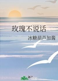 玫瑰不说话封面