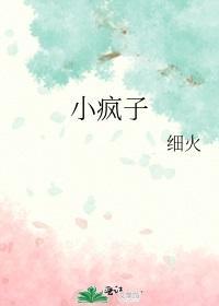 小疯子封面