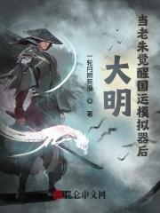大明：当老朱觉醒国运模拟器后封面