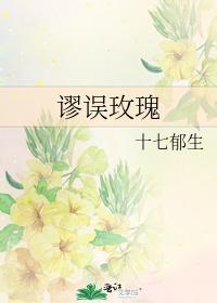 谬误玫瑰封面