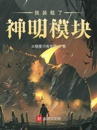 我装载了神明模块封面