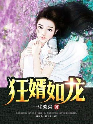 狂婿如龙陆叶封面