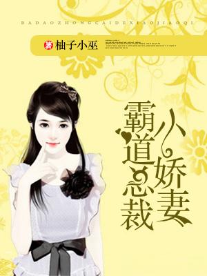 霸道总裁小娇妻封面