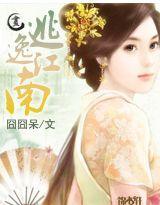逃逸江南封面