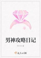男神攻略日记封面