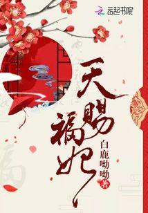 天赐福妃封面