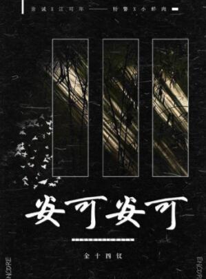 安可安可封面