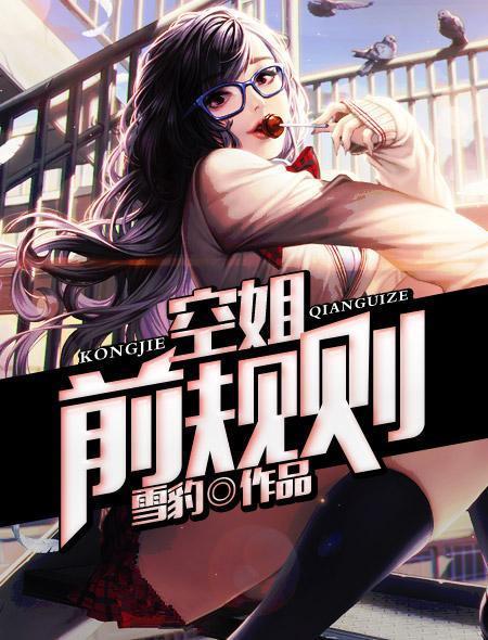 空姐前规则封面