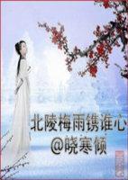 北陵梅雨镌谁心封面