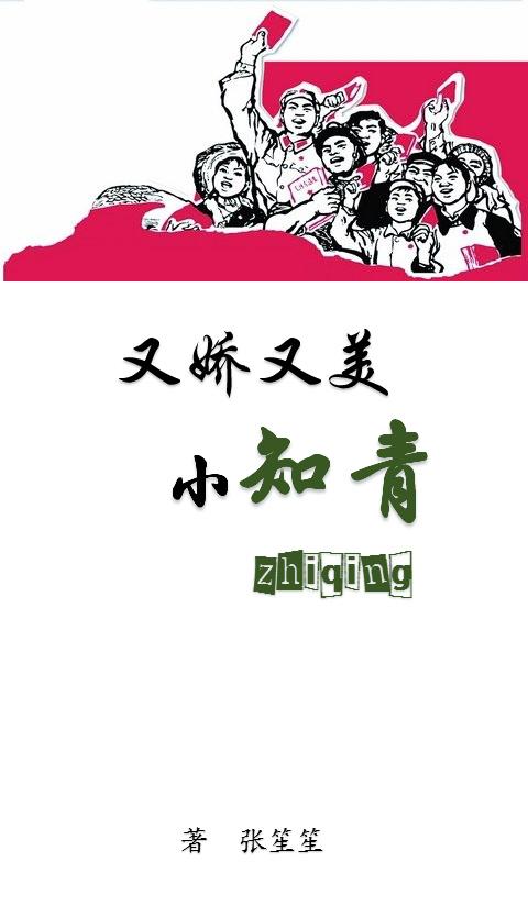 又娇又美小知青封面