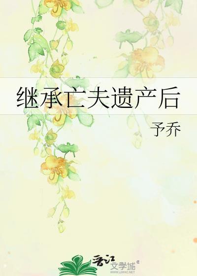 继承亡夫遗产后封面
