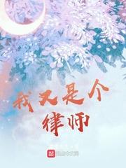 我又是个律师封面