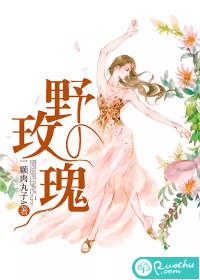 野玫瑰湾封面