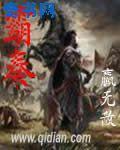 霸秦封面