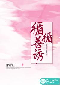 循循善诱封面