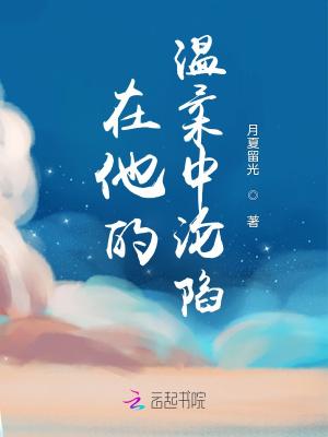 在他的温柔中沦陷封面